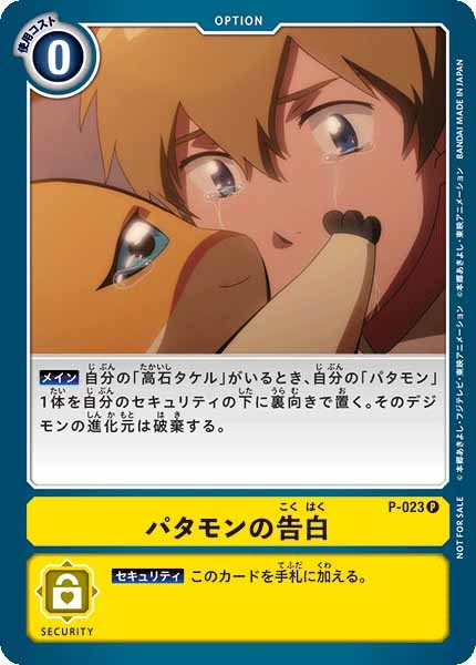 パタモンの告白の画像